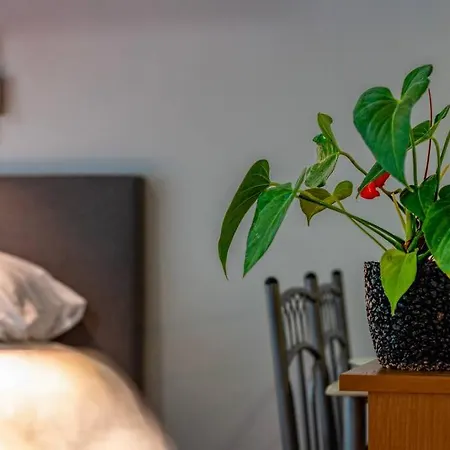 Apartment Corvin Park *